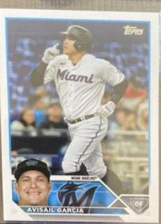 Avisail Garcia