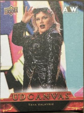 Taya Valkyrie #C10 Wrestling Cards 2024 Upper Deck AEW UD Canvas