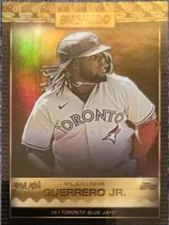 Vladimir Guerrero Jr.
