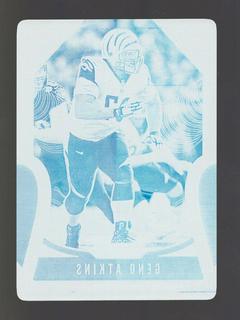 Geno Atkins