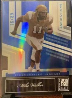 Mike Sims Walker