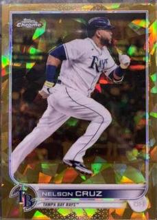 Nelson Cruz