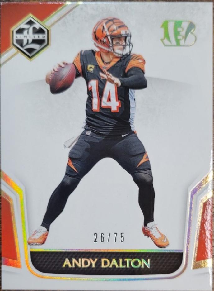 Andy Dalton #20 2019 Panini Limited Football