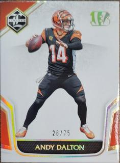 Andy Dalton