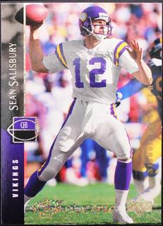 Sean Salisbury