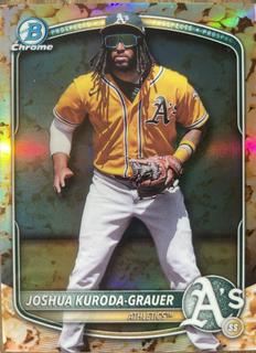 Joshua Kuroda-Grauer