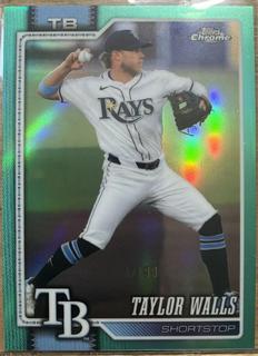 Taylor Walls