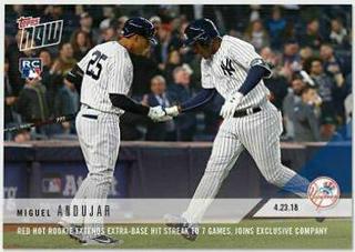 Miguel Andujar