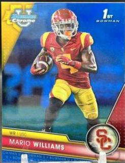 Mario Williams
