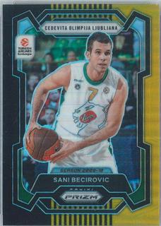 Sani Becirovic