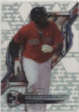 David Ortiz #HT-DO
