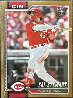 Sal Stewart