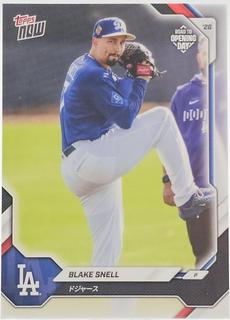 Blake Snell
