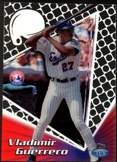 Vladimir Guerrero