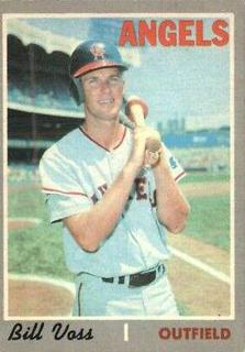 Bill Voss