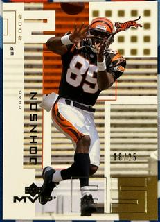 Chad Johnson