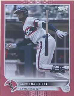 Luis Robert