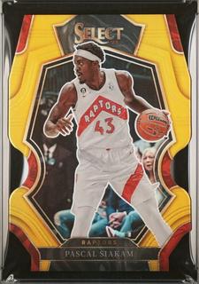 Pascal Siakam