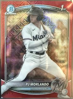 PJ Morlando