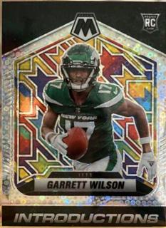 Garrett Wilson