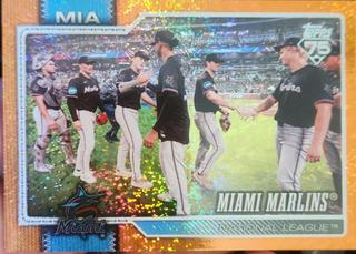 Team Card