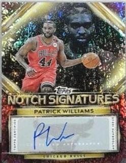 Patrick Williams