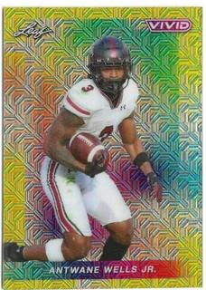 Antwane Wells Jr.