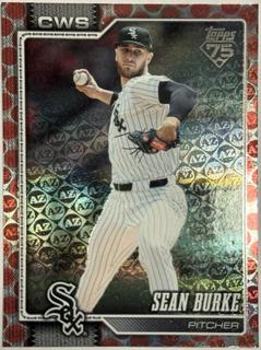 Sean Burke