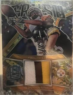 Troy Polamalu