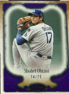 Shohei Ohtani