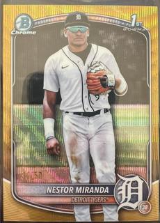 Nestor Miranda
