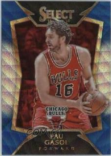Pau Gasol