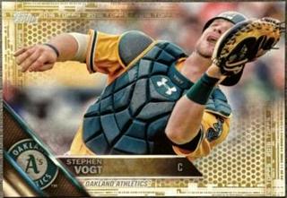 Stephen Vogt