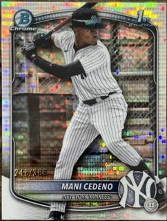 Mani Cedeno