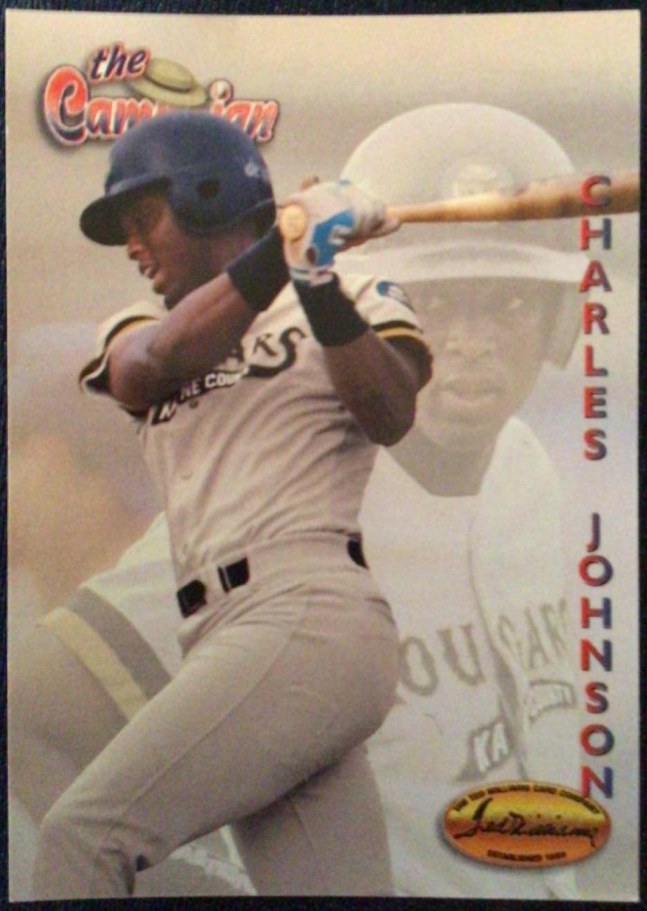 Charles Johnson #125 Baseball Cards 1994 Ted Williams Co