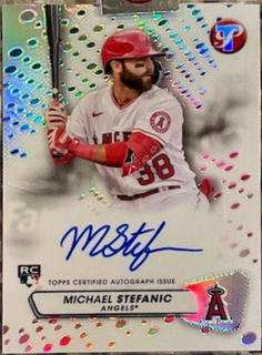 Michael Stefanic