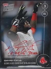 David Ortiz