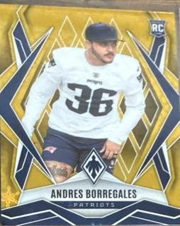 Andres Borregales