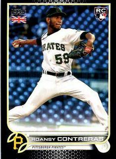 Roansy Contreras