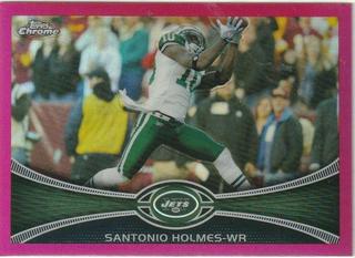 Santonio Holmes