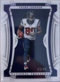 Andre Johnson