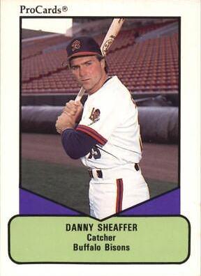 Danny Sheaffer #492 Baseball Cards 1990 ProCards AAA