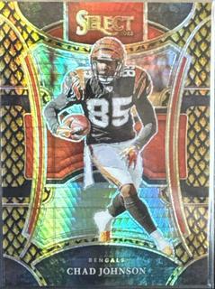 Chad Johnson