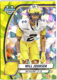 Will Johnson