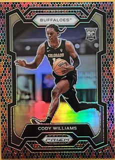 Cody Williams