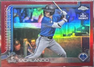 PJ Morlando