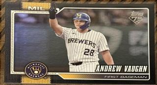 Andrew Vaughn