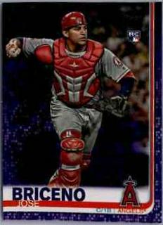 Jose Briceno