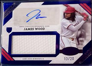 James Wood