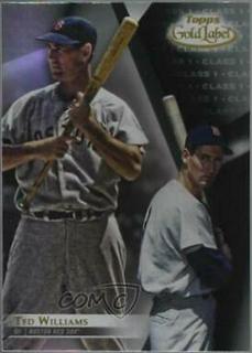 Ted Williams